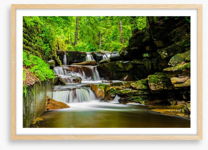 Green forest falls