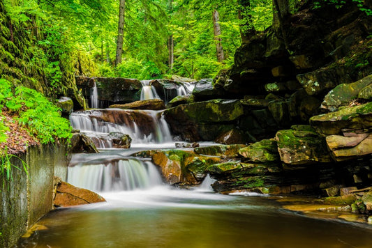 Green forest falls