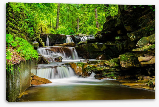 Green forest falls