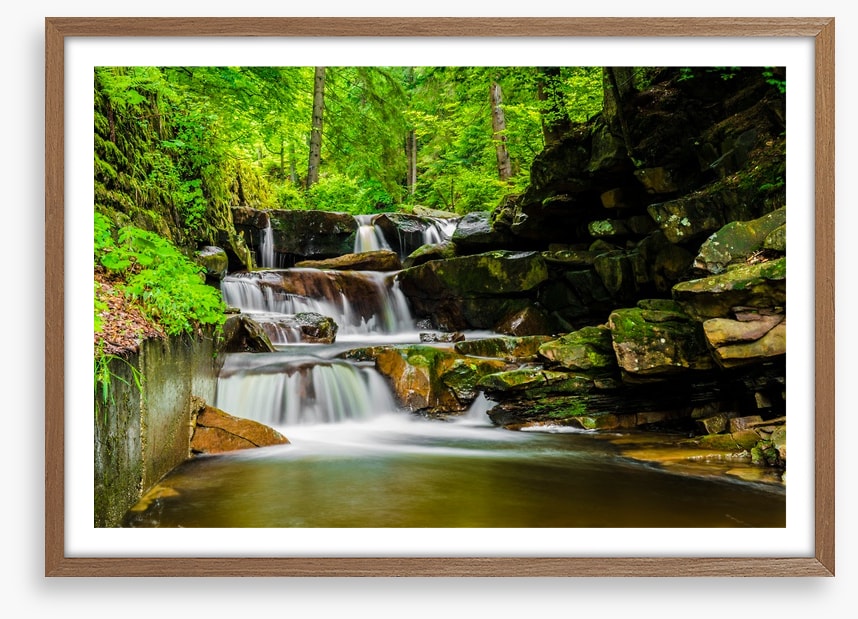 Green forest falls