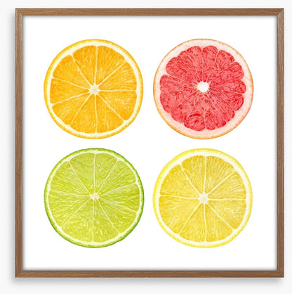 Zesty four