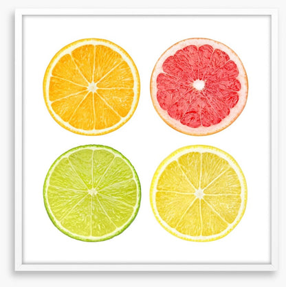 Zesty four