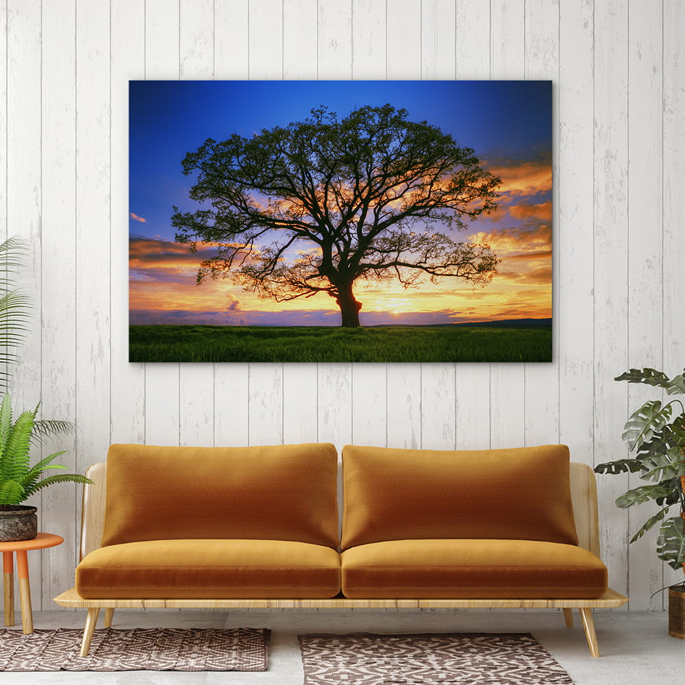 Sunset tree silhouette