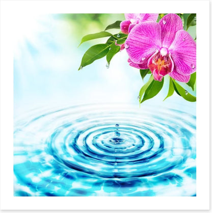 Rejuvenation