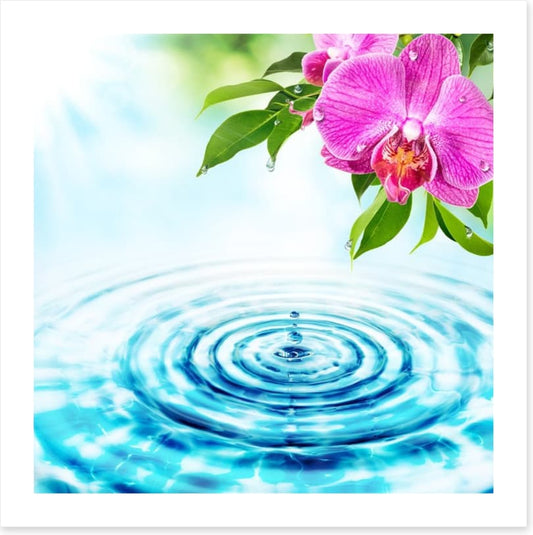 Rejuvenation
