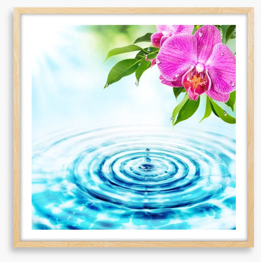 Rejuvenation