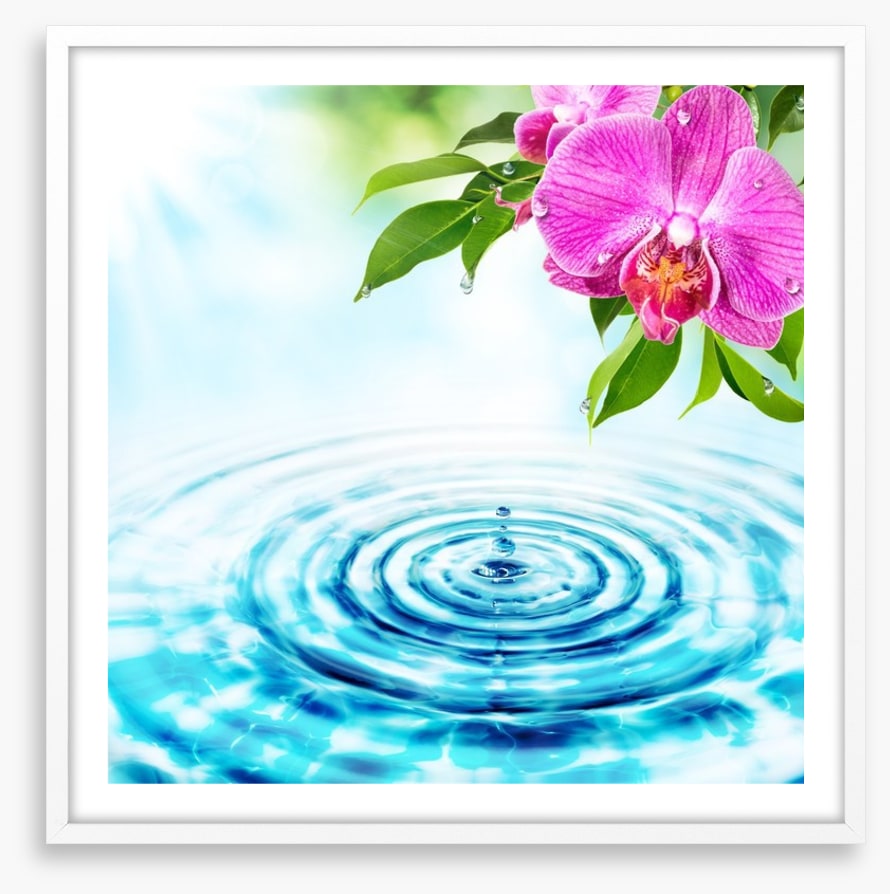 Rejuvenation