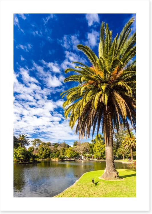 By the ornamental lake