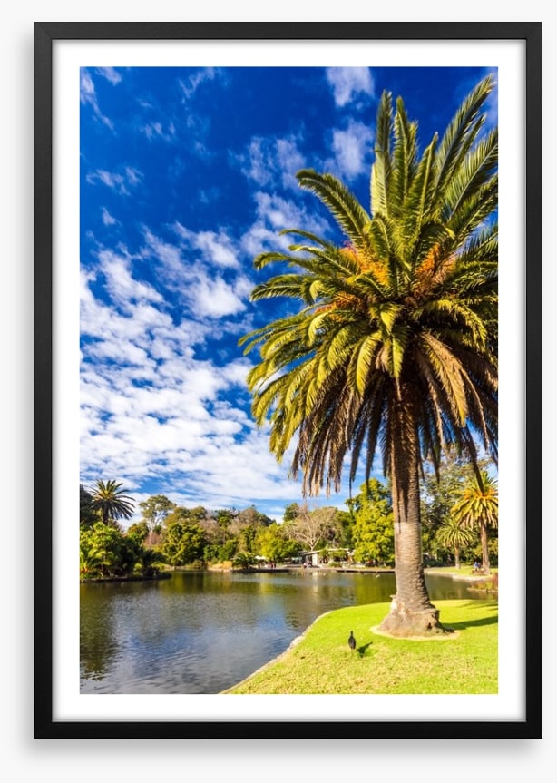 By the ornamental lake