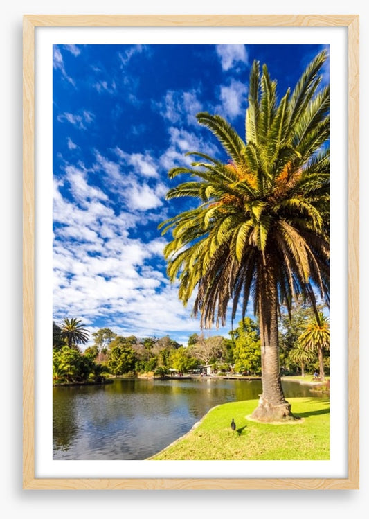 By the ornamental lake