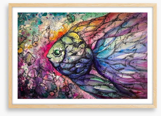 Rainbow fishes