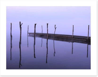 Dawning zen