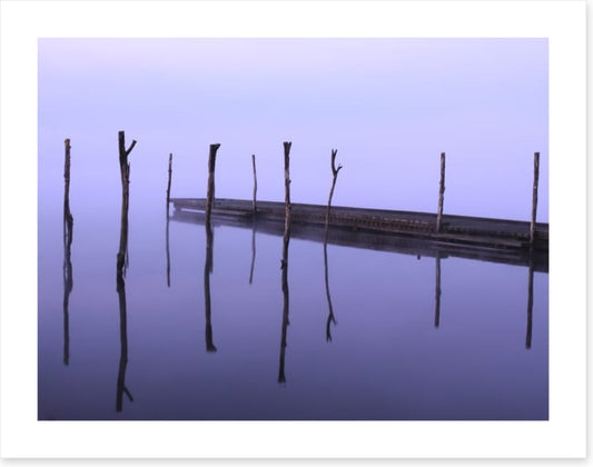 Dawning zen