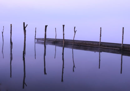 Dawning zen