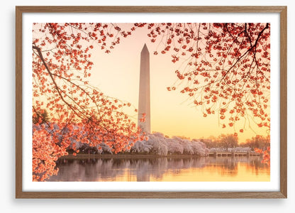 Golden blossom memorial
