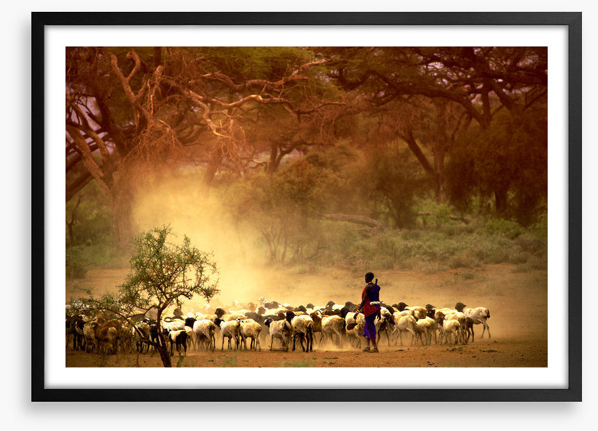 Herding the goats