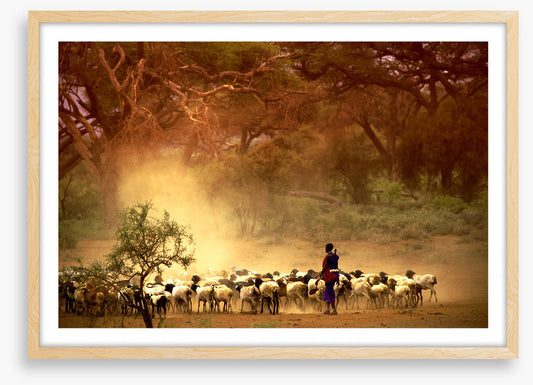 Herding the goats