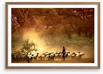 Herding the goats