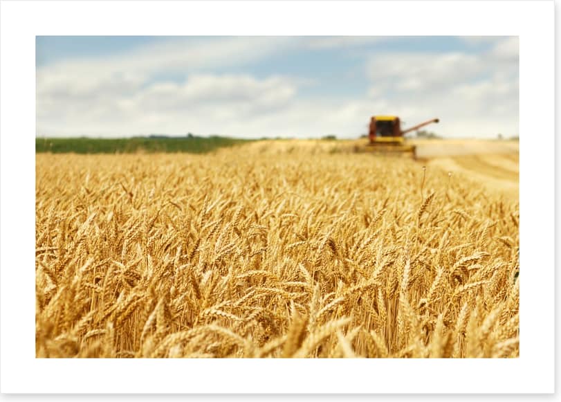 Agriculture