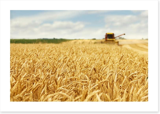 Agriculture