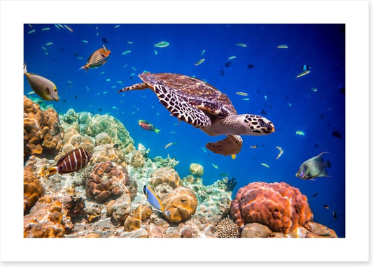 Swimmingly