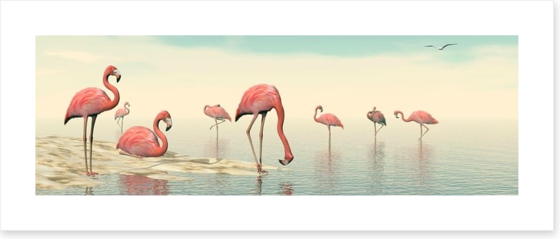 Pink flamingo flock