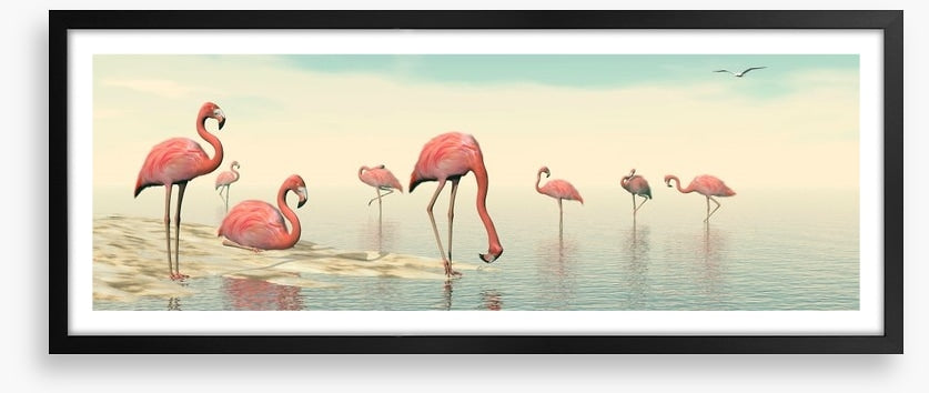 Pink flamingo flock