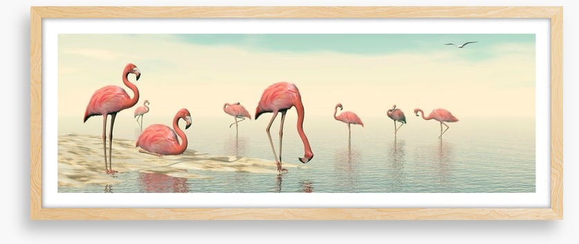 Pink flamingo flock