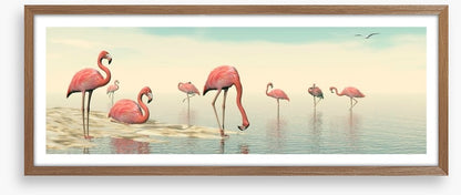 Pink flamingo flock