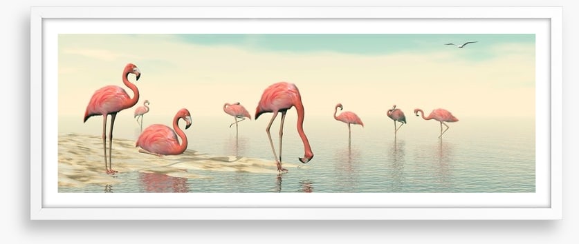 Pink flamingo flock