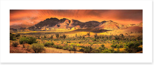 Flinders sundown panorama