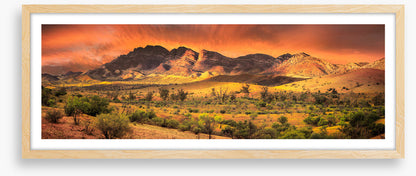 Flinders sundown panorama