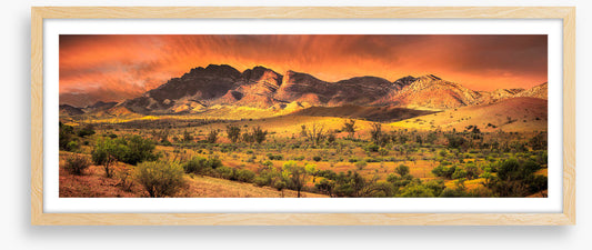 Flinders sundown panorama