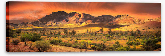 Flinders sundown panorama