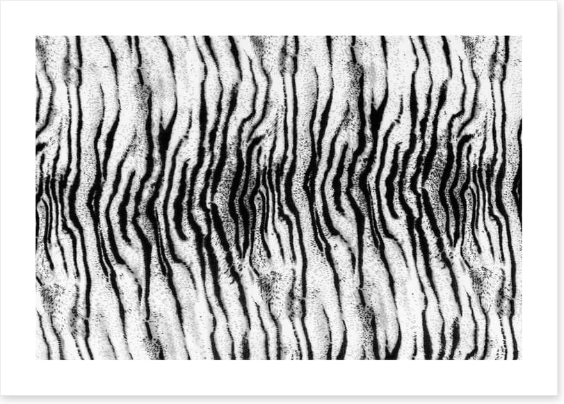 Animal Print