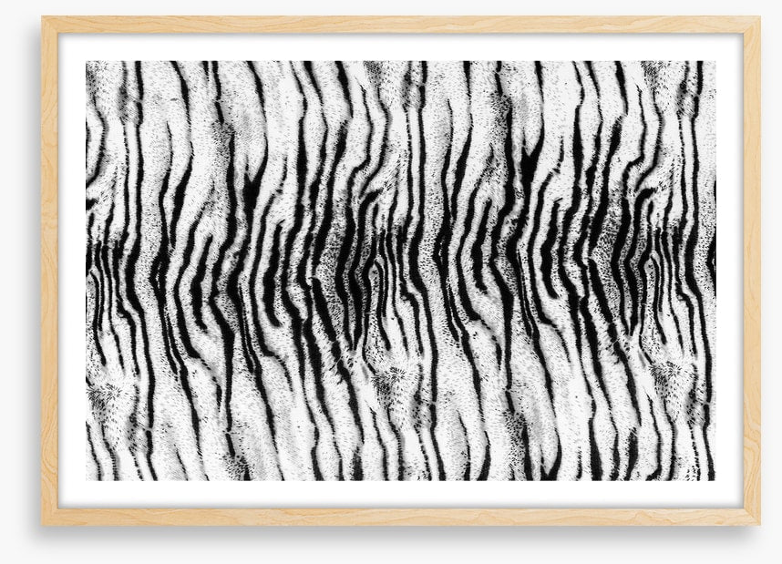 Animal Print