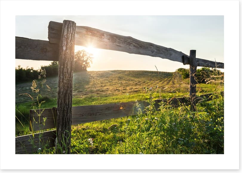 Through the fence