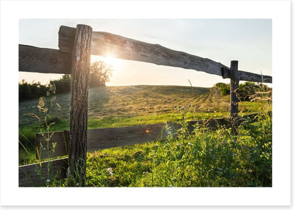 Through the fence
