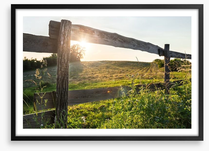 Through the fence