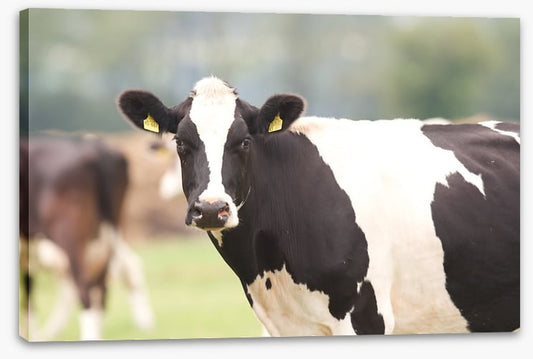 Agriculture