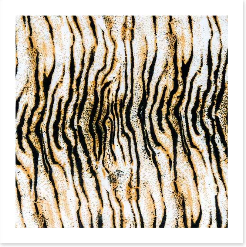 Animal Print