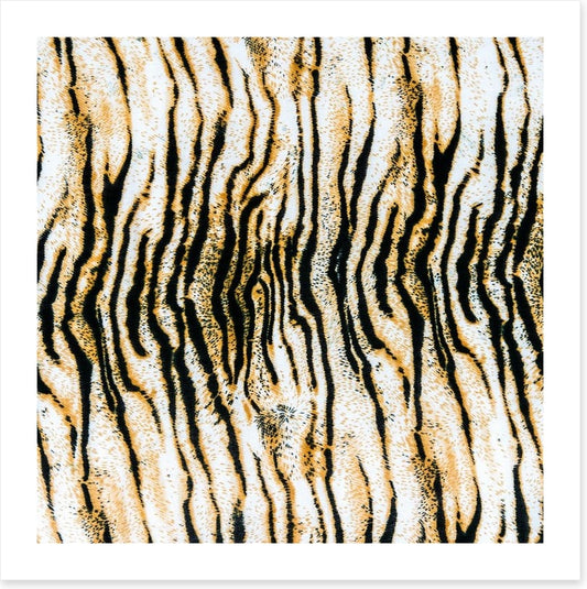 Animal Print