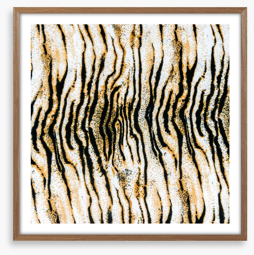 Animal Print