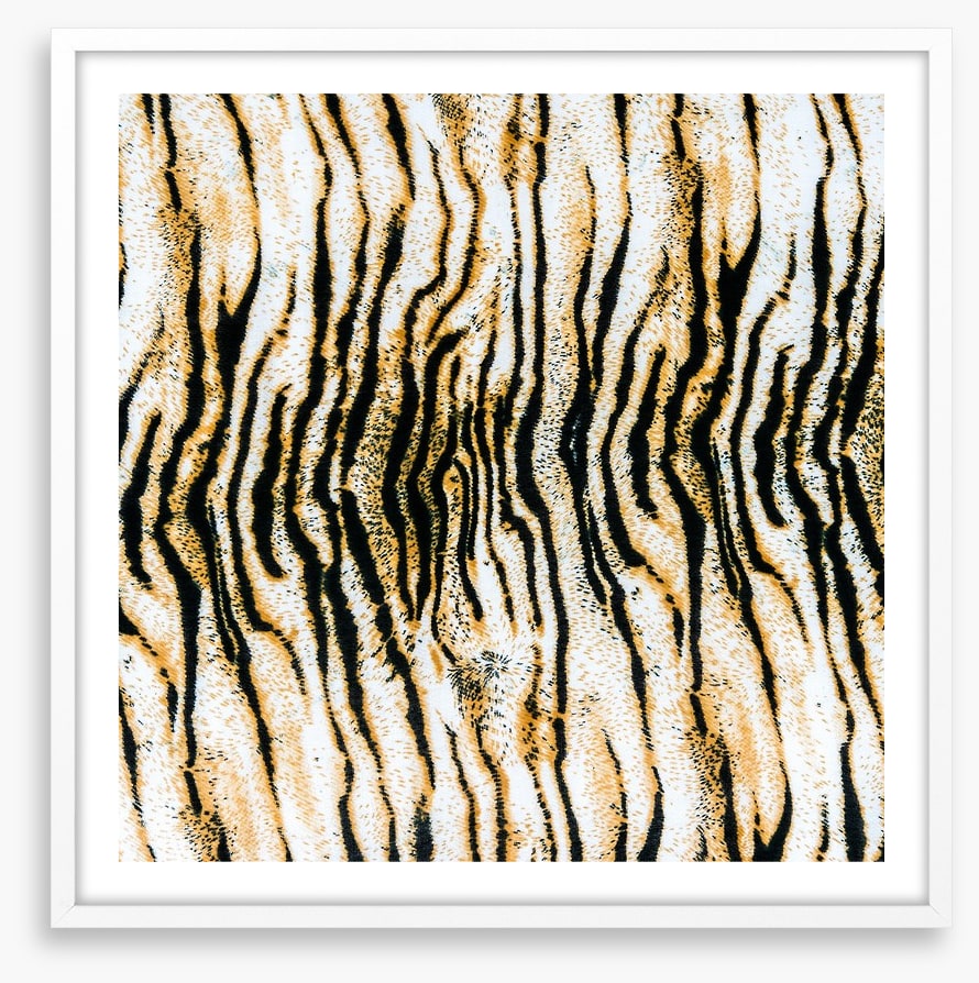 Animal Print