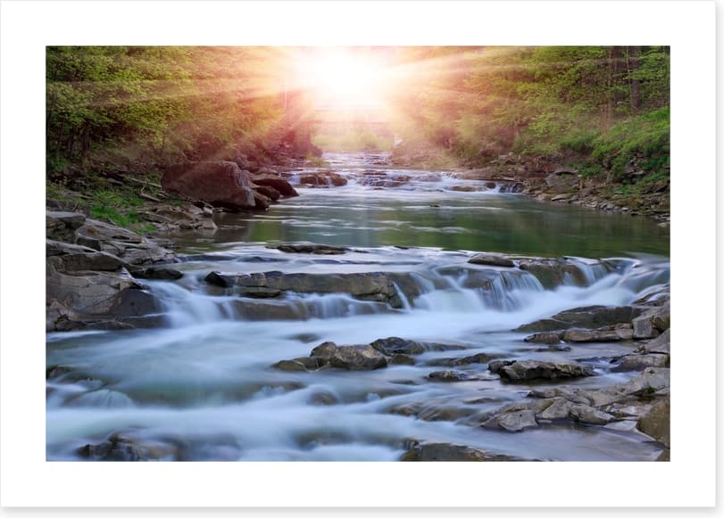 River rays
