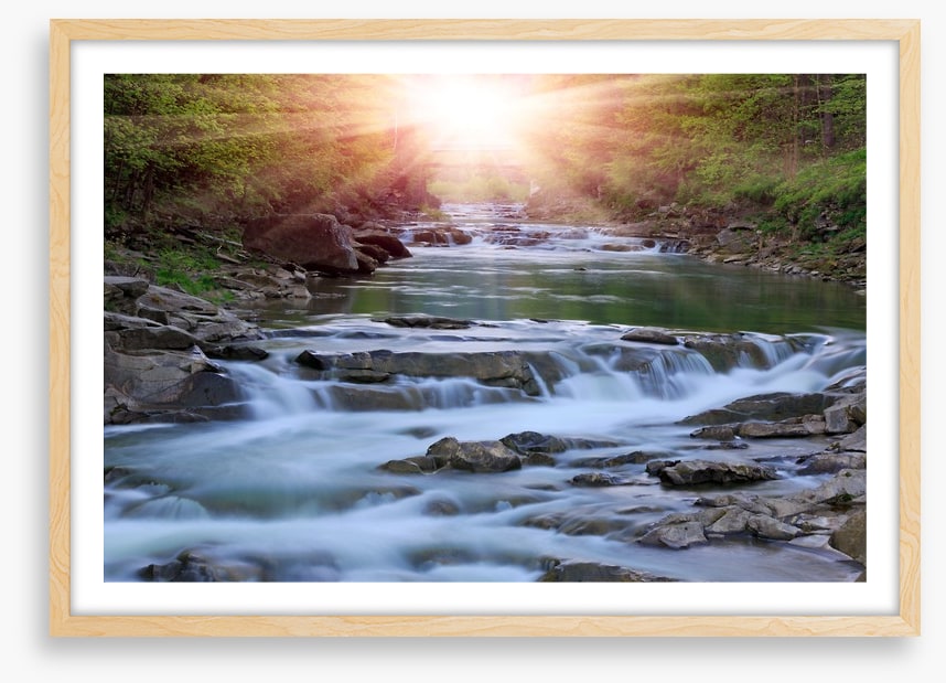 River rays