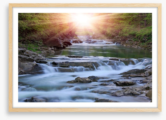 River rays
