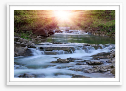 River rays