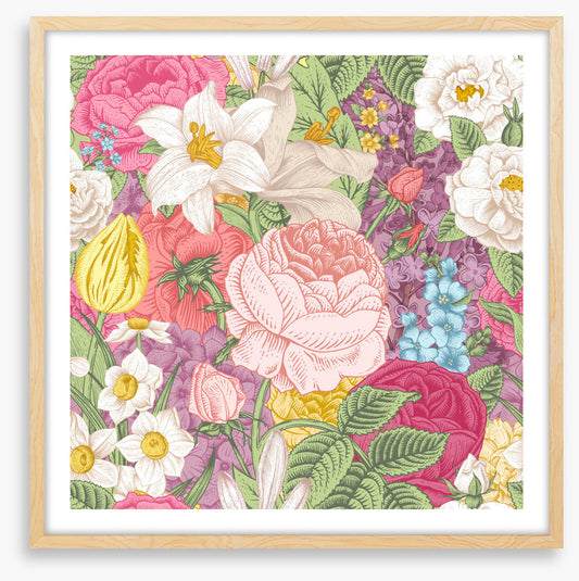 Garden glory 1