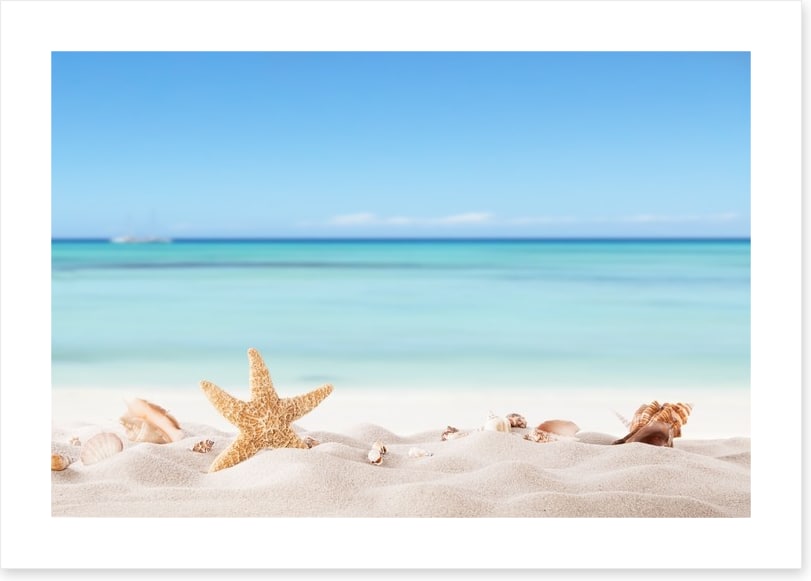 Summer beach with shells